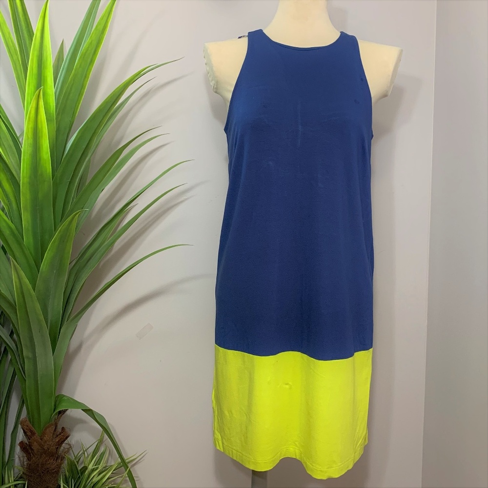 Ann Taylor Sleeveless Shift Dress